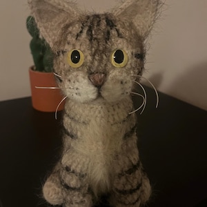 Ashleigh added a photo of their purchase