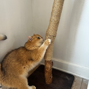 Kira added a photo of their purchase
