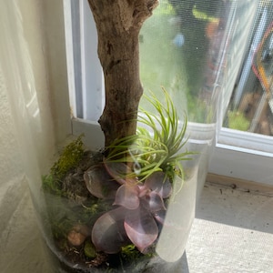 Chris added a photo of their purchase