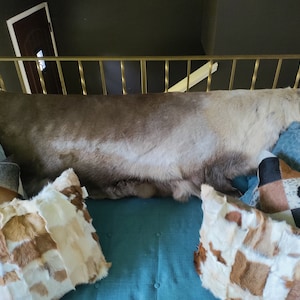 Linsey hat ein Foto des gekauften Artikels hinzugefügt