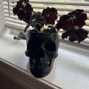 Kim added a photo of their purchase