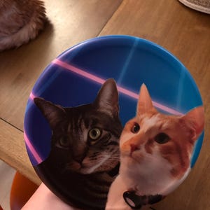 Katelyn added a photo of their purchase