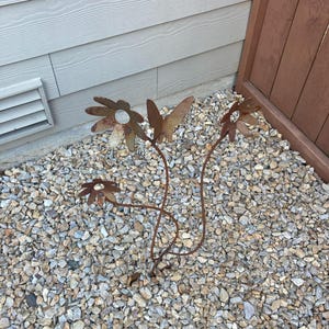 Ron さんが購入した商品の写真を追加しました
