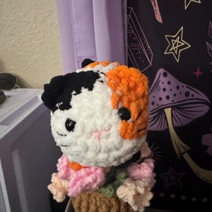 Irma added a photo of their purchase