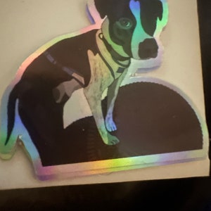 Acquirente Etsy ha aggiunto una foto del proprio acquisto