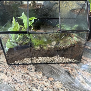 Monica added a photo of their purchase