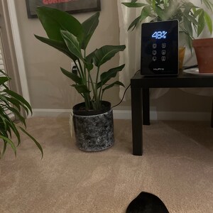 Kiana added a photo of their purchase