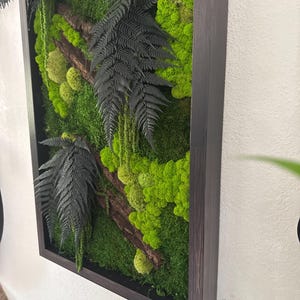 Toño added a photo of their purchase