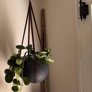 Jeffection added a photo of their purchase