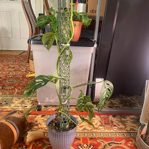 Merideth added a photo of their purchase