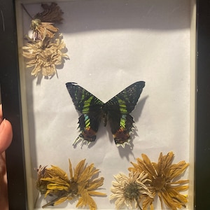 MaKalyn added a photo of their purchase