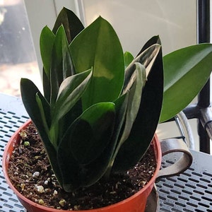 Stephen added a photo of their purchase