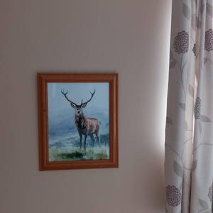 Coral added a photo of their purchase