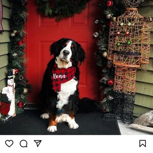 Michelle added a photo of their purchase