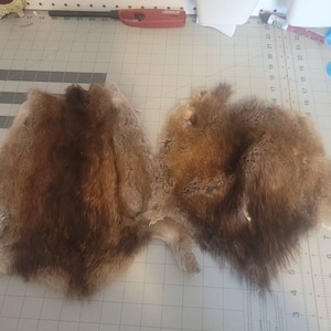 Mary added a photo of their purchase