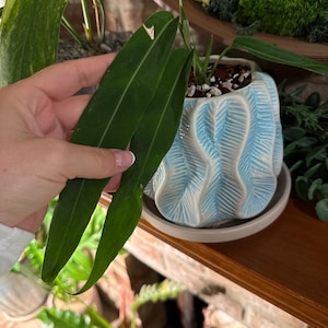 j added a photo of their purchase