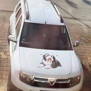 Ute ha añadido una foto de su compra