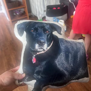 Laurie added a photo of their purchase