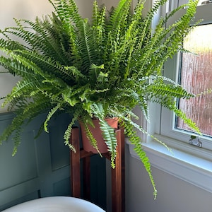 John added a photo of their purchase
