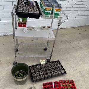 Nicole added a photo of their purchase
