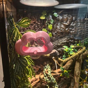 Caroline さんが購入した商品の写真を追加しました