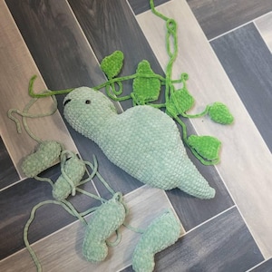 Leander added a photo of their purchase