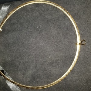 Pat added a photo of their purchase