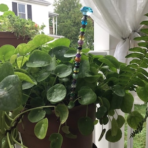 Maura added a photo of their purchase