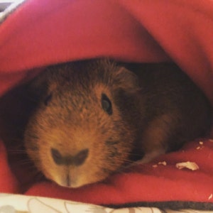Rosie added a photo of their purchase
