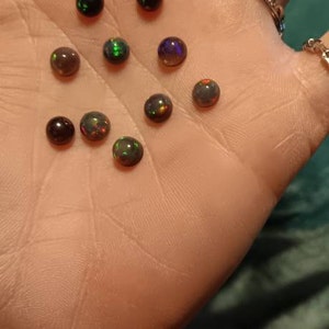 Brandi added a photo of their purchase
