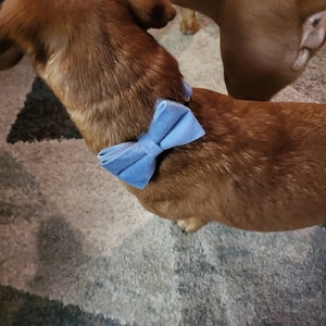 Stacey added a photo of their purchase