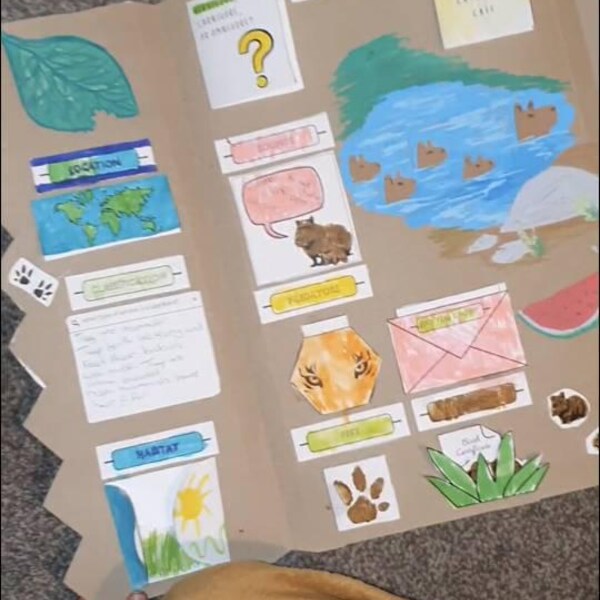 Earth Study Lapbook Download | Printable | Creative Activity ...