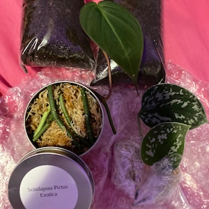 Ashley added a photo of their purchase
