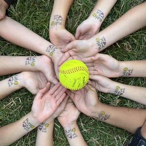 48 Balles De Softball Homme/mixte D'occasion 12 Pouces – Worth, Champro – Idéal Pour L'entraînement