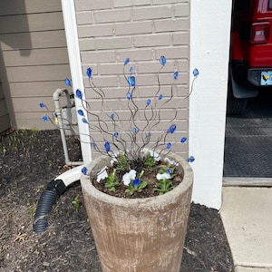 peg added a photo of their purchase