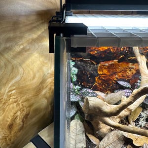 Mindy ha añadido una foto de su compra