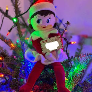 Amanda added a photo of their purchase