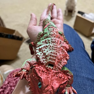 Wanda ha añadido una foto de su compra