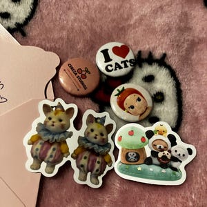 Madz さんが購入した商品の写真を追加しました