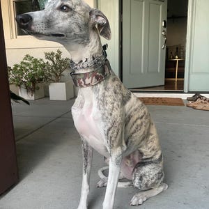 Comprador de Etsy ha añadido una foto de su compra