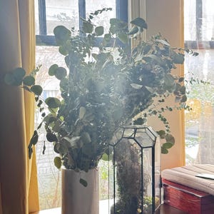 Lauren added a photo of their purchase