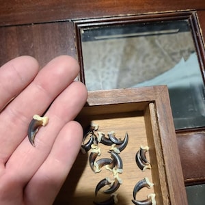 Kory added a photo of their purchase