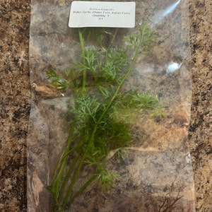 Joshua added a photo of their purchase