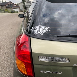 holly added a photo of their purchase