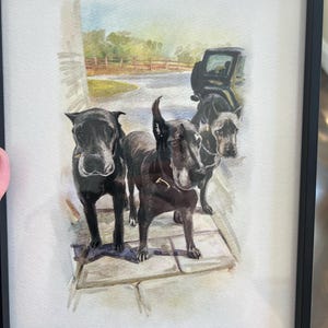 Margaret added a photo of their purchase