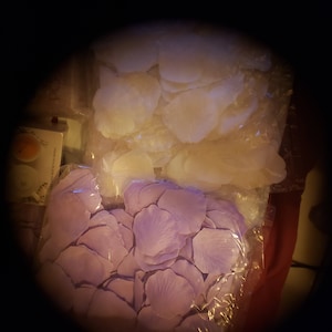 Shonna さんが購入した商品の写真を追加しました