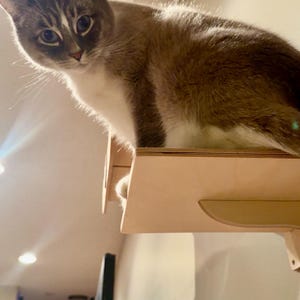 Kari ha añadido una foto de su compra