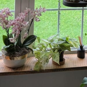 Natoshia added a photo of their purchase