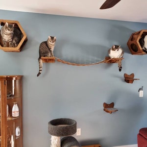 Cathy added a photo of their purchase