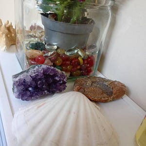 Maria added a photo of their purchase